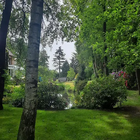 Bed & Breakfast Dream 4*