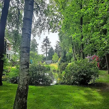 Dream 4*
